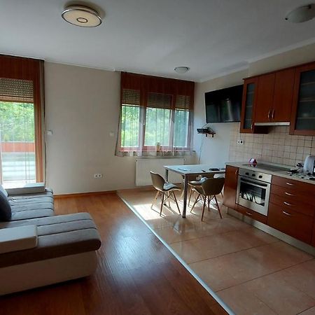 Apartament Sunny Loft Kecskemét Zewnętrze zdjęcie