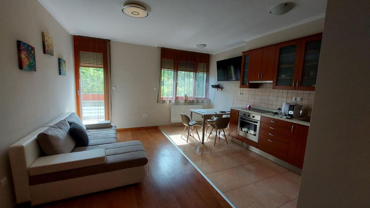 Apartament Sunny Loft Kecskemét Zewnętrze zdjęcie